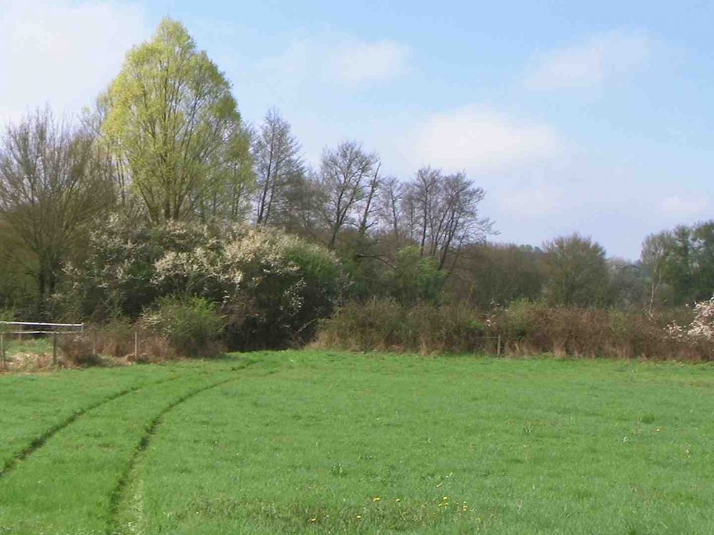 Comment acheter une parcelle de terrain agricole ?